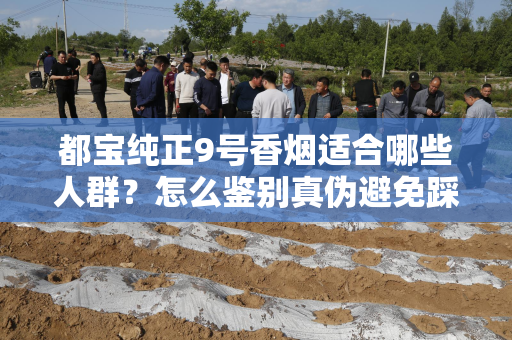 都宝纯正9号香烟适合哪些人群？怎么鉴别真伪避免踩坑？